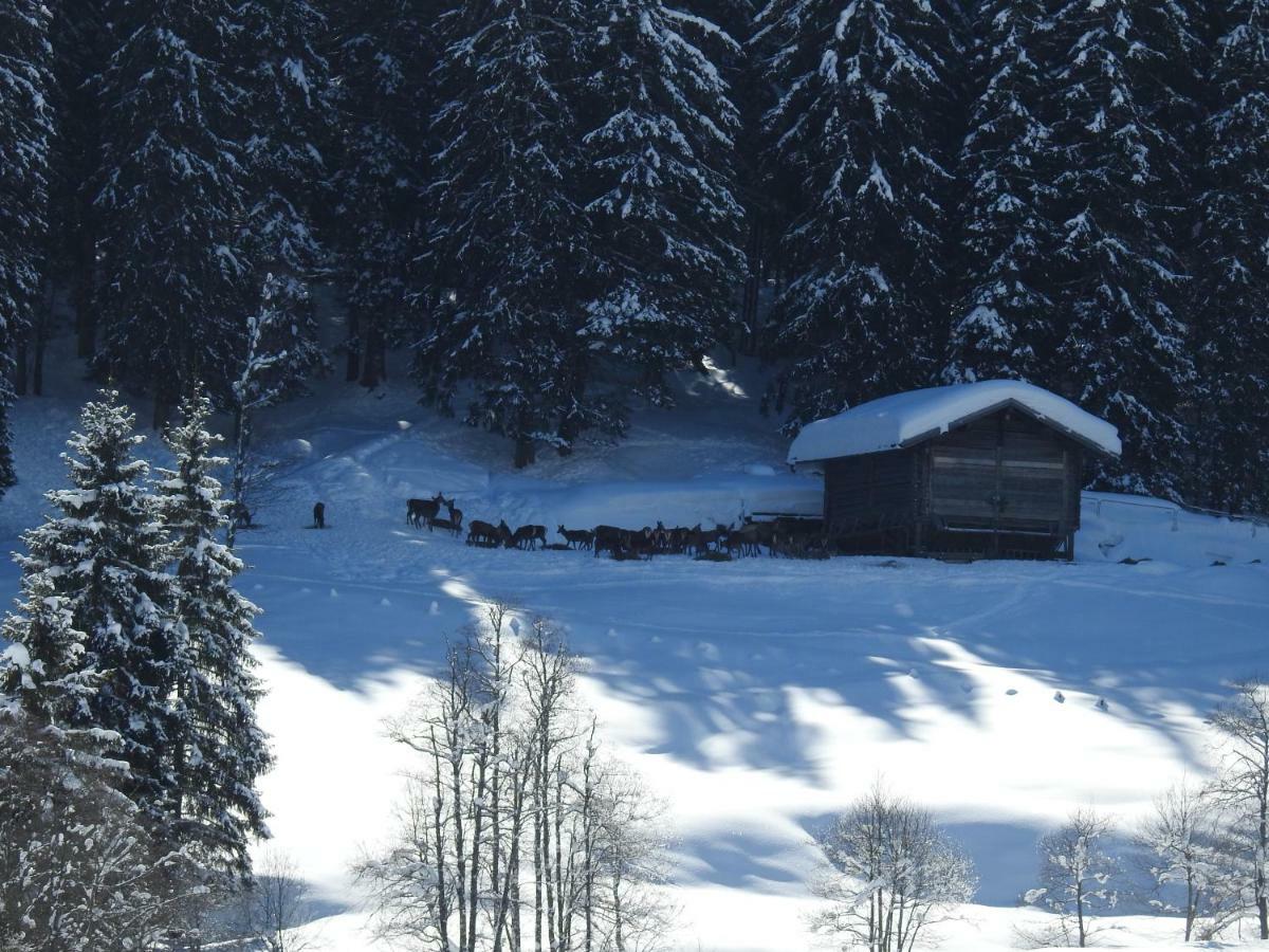 Blockhaus Ganschitter Apartamento Grossarl Exterior foto